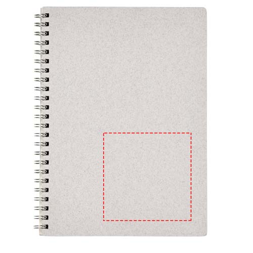 unten links (55 x 55 mm)