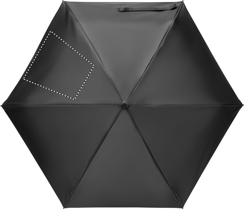 Segment 2 (21 x 21 cm)