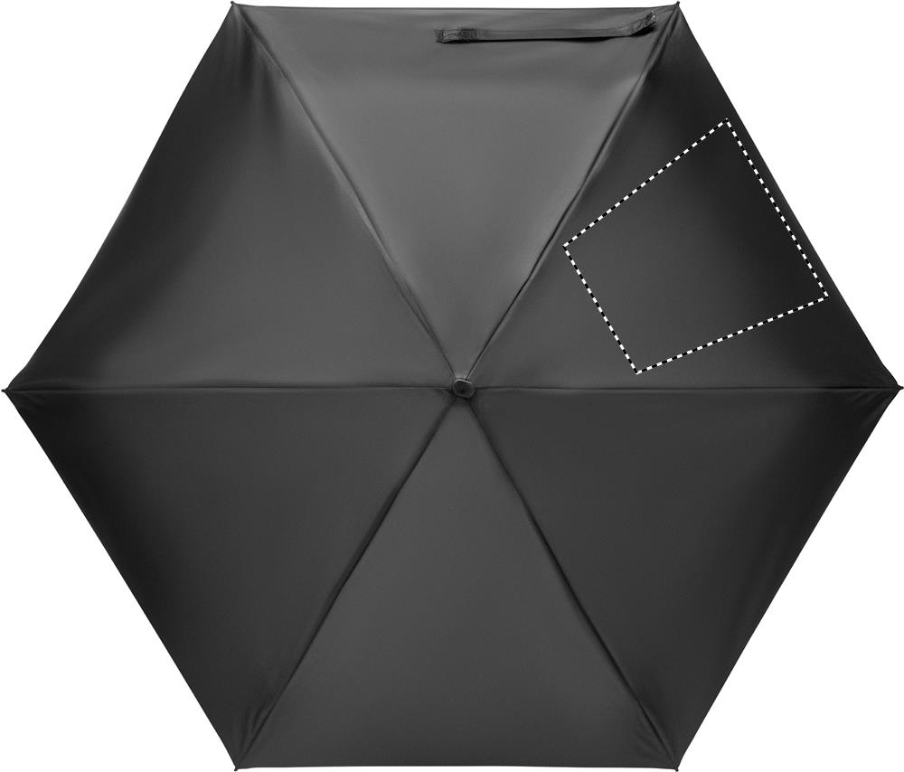 Segment 3 (21 x 21 cm)