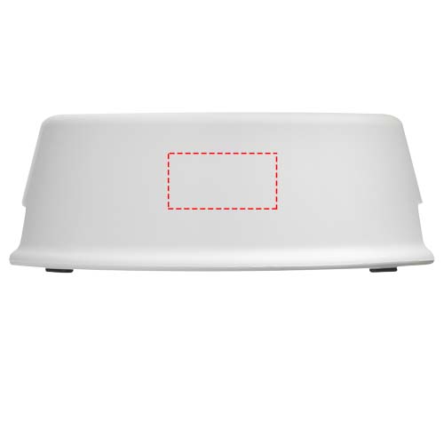 Rückseite (5 x 2,5 cm)