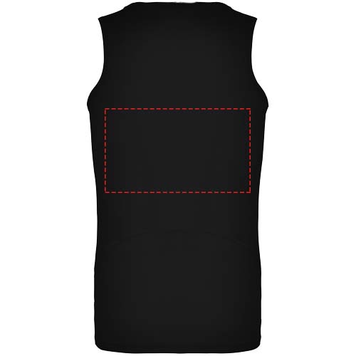 Rückseite (310 x 180 mm)