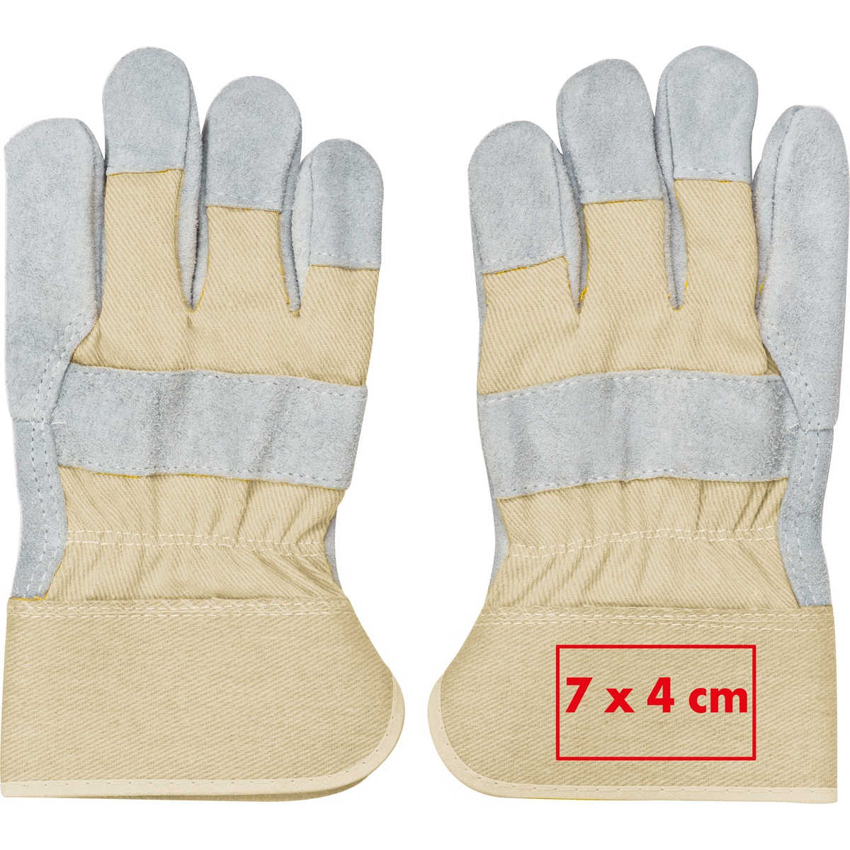 Auf dem Handschuh (7 x 4 cm)