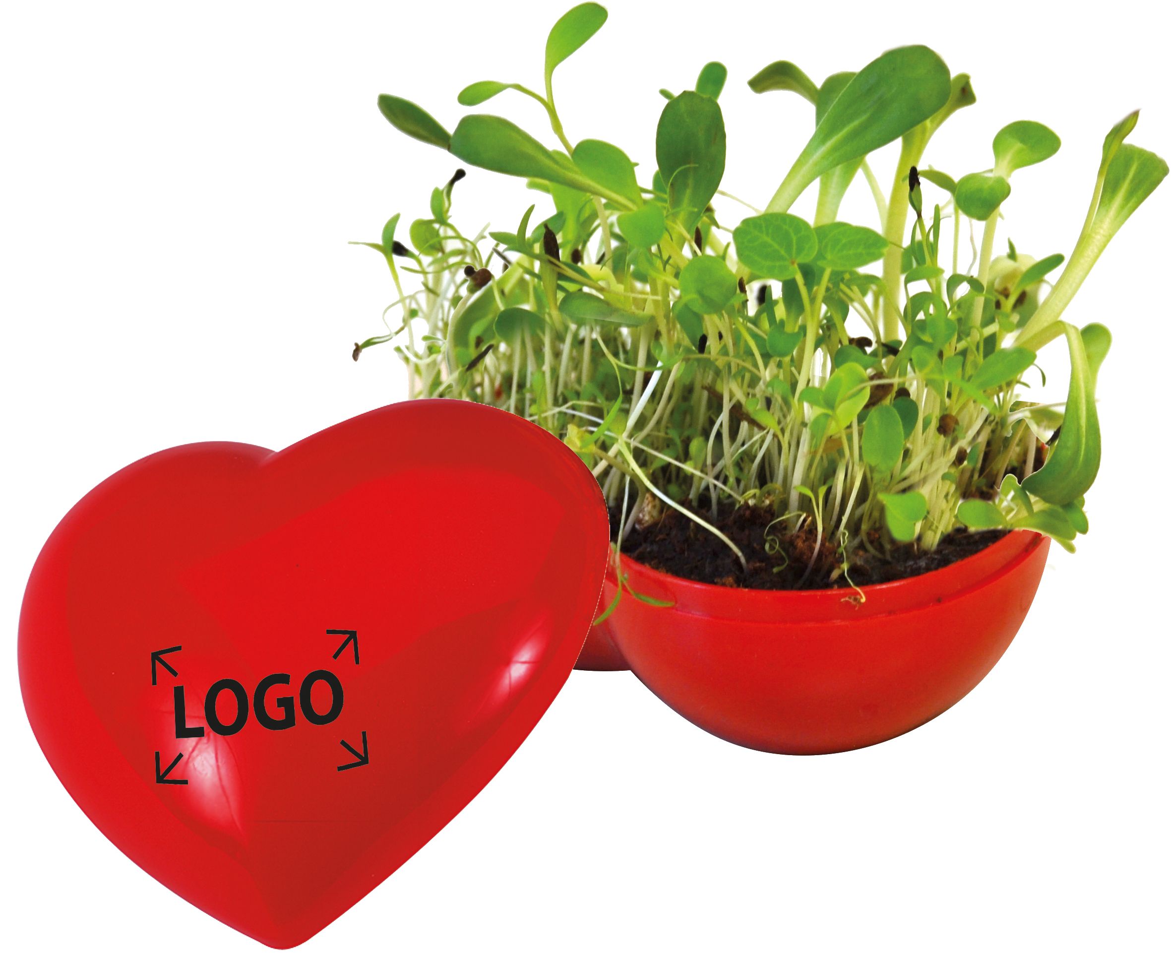 auf den Deckel (2,5 x 1,5 cm)