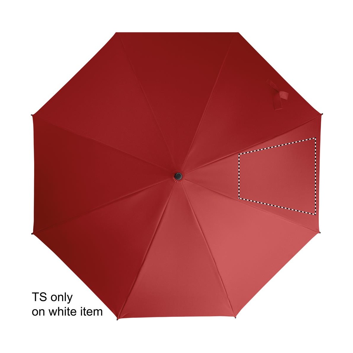 Segment 3 (260 x 260 mm)
