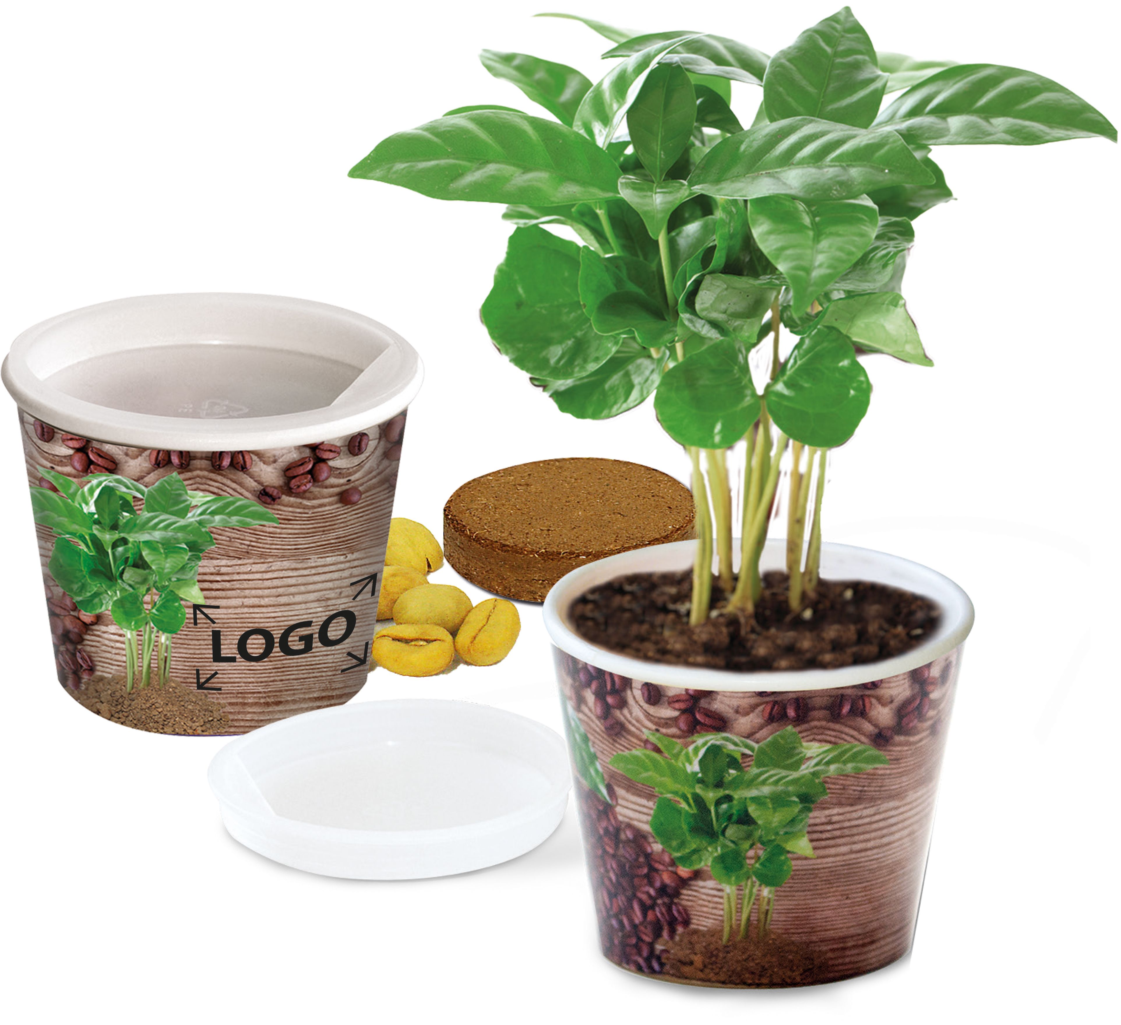 auf die Banderole (17,0 x 4,5 cm)