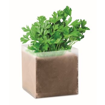 PARSELY Pflanz-Set "Petersilie"