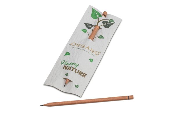 Bleistift mit Samenpapieretui