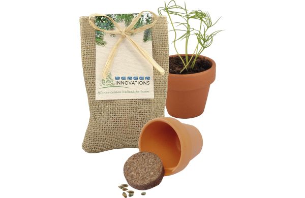 Kleines Natur - Säckchen Pflanze deinen Baum, Fichte