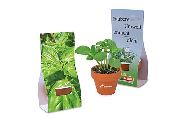 Logo-Töpfchen Überreichverpackung mit Samen