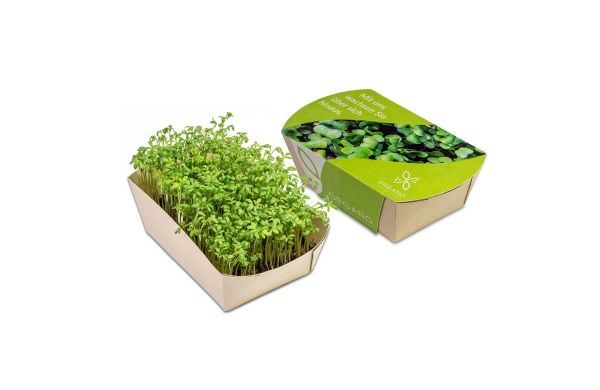 Microgreens-Gärtchen