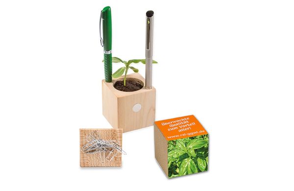 Pflanz-Holz Büro mit Samen, 2 Seiten gelasert