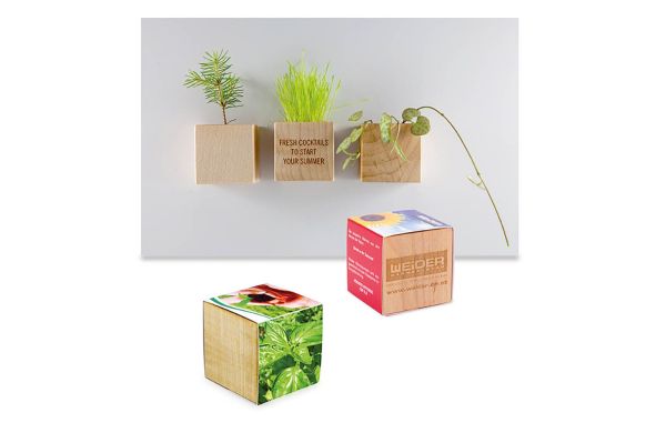 Pflanz-Holz Magnet mit Samen, 2 Seiten gelasert