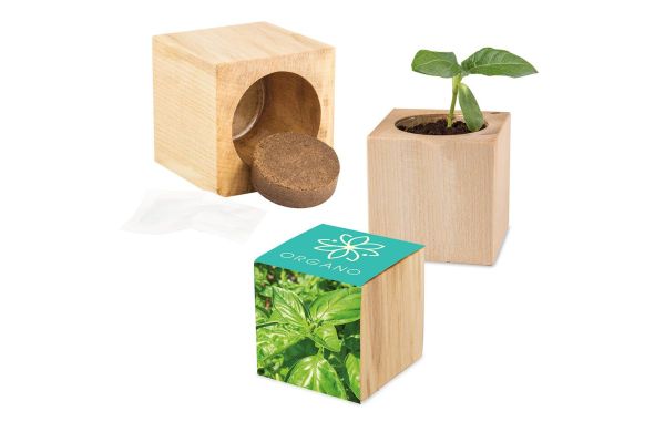 Pflanz-Holz Maxi mit Samen