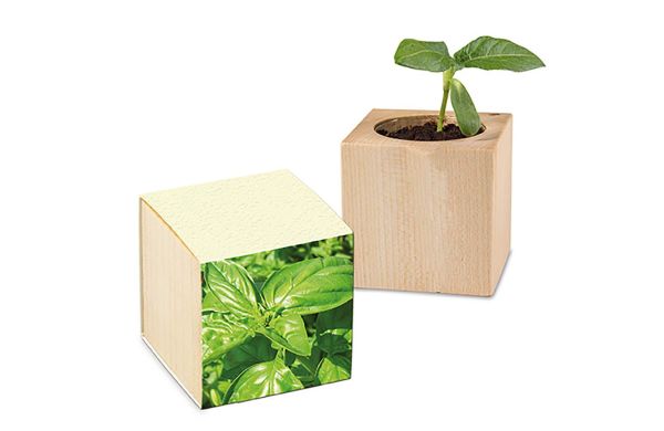 Pflanz-Holz mit Samen, 1 Seite gelasert (Graspapier-Banderole)