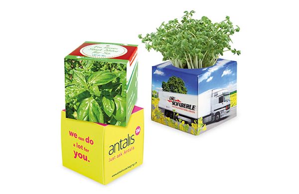 Pflanz-Würfel 2.0 mit Samen