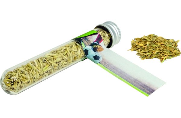 Reagenzglas Sportplatz, Fußballrasen