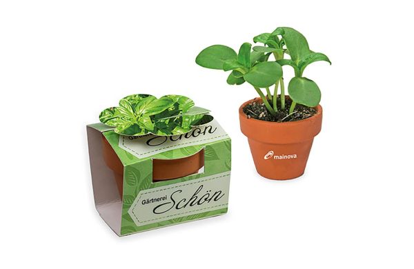 Tontöpfchen-Blume mit Samen, Tampondruck