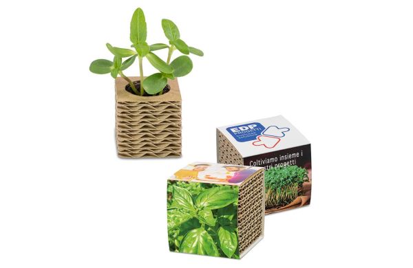 Wellkarton-Pflanzwürfel Mini mit Samen