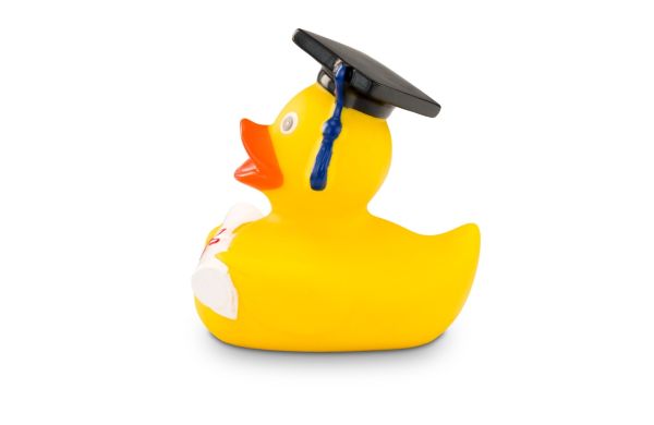 Werbeente Albert Akademiker