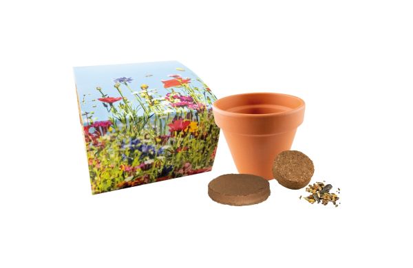 Bienen-Festmahl, Bienenwiesen-Mischung