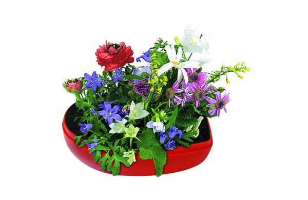 Blumen-Herz, bunte Blumenmischung