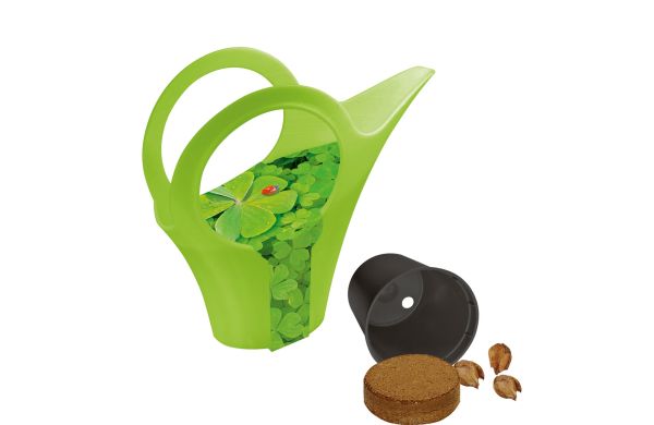 Camilla XS Glück, Glückskleezwiebelchen