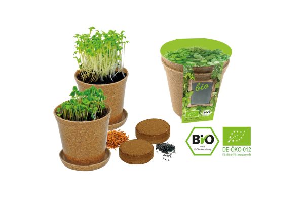 Easy Kräuterduo, Bio-Basilikum, Bio-Kresse