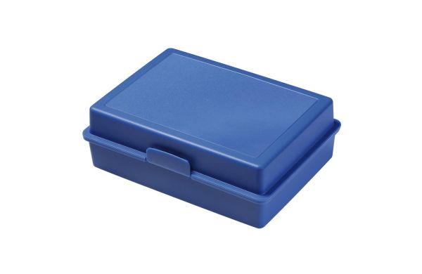 Frühstücks-Vorratsdose "Picknick", blau