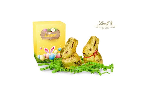 Geschenkartikel / Präsentartikel: Lindt Osterhäschen Duo