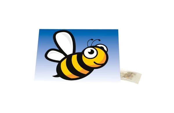 Klappkärtchen Biene, Bienenwiesen-Mischung
