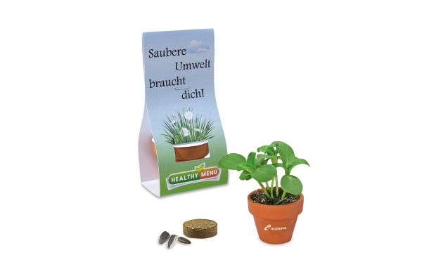 Logo-Töpfchen Überreichverpackung mit Samen
