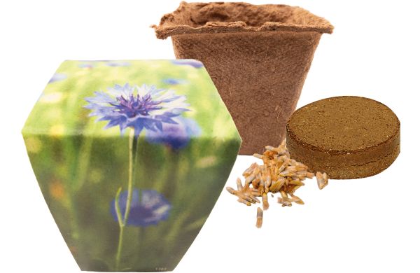 Naturtöpfchen Blue