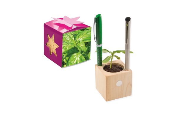 Pflanz-Holz Büro Star-Box mit Samen, 2 Seiten gelasert