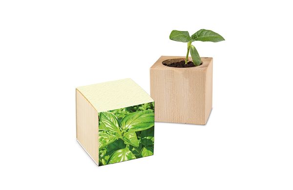 Pflanz-Holz mit Samen 2 Seiten gelastert (Graspapier-Banderole)