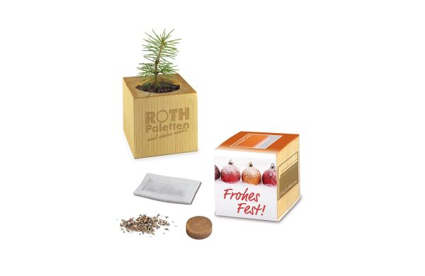 Pflanz-Holz - Standardmotiv - Frohe Weihnachten, 2 Seiten gelasert