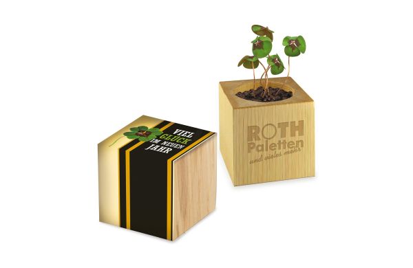 Pflanz-Holz - Standardmotiv - Glücksklee, 2 Seiten gelasert