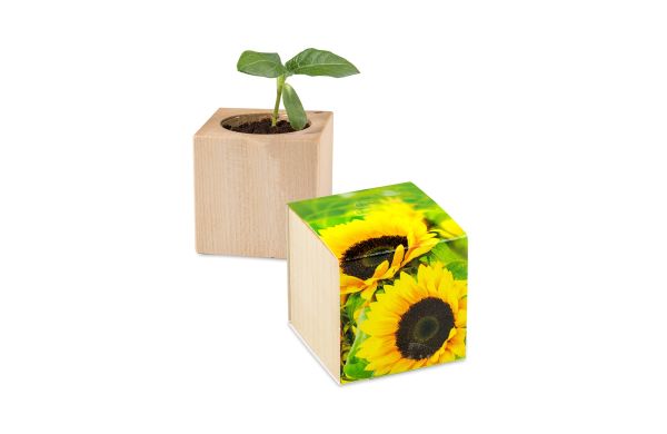 Pflanz-Holz - Standardmotiv - Sonnenblume, 2 Seiten gelasert