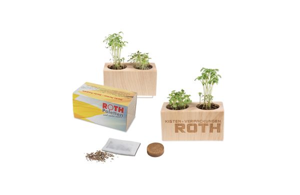 Pflanz-Holz 2er Set mit Samen