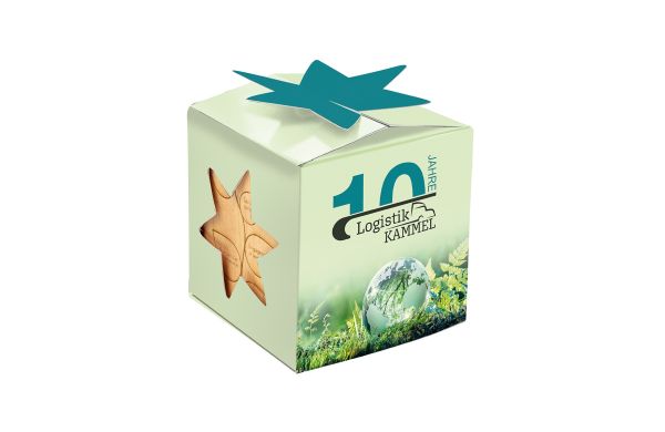 Pflanz-Holz Star-Box Xmas mit Fichtensamen