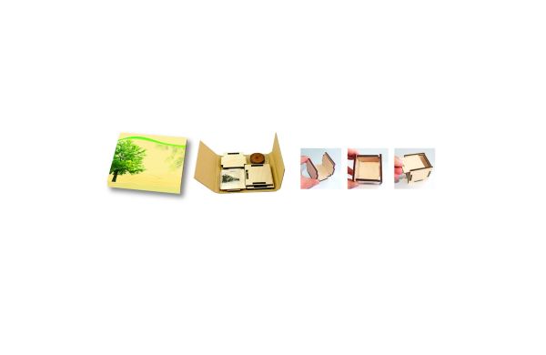 Pflanzsteckbox Natur, Robinie