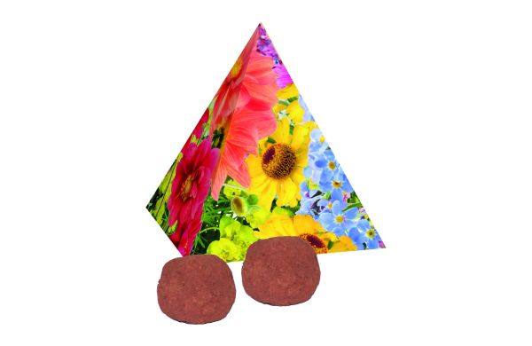 Pyramide Spitzenwachstum, bunte Blumenmischung