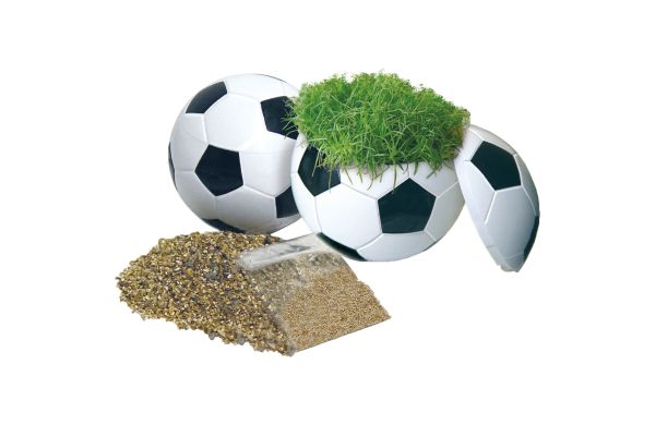 Rasender Fußball, Zimmerrasen