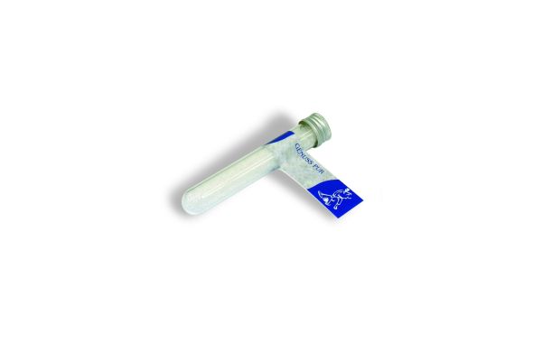 Reagenzglas Meersalz 