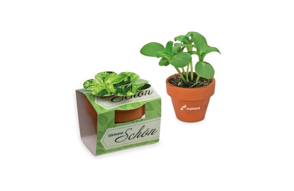 Tontöpfchen-Blume mit Samen, Tampondruck