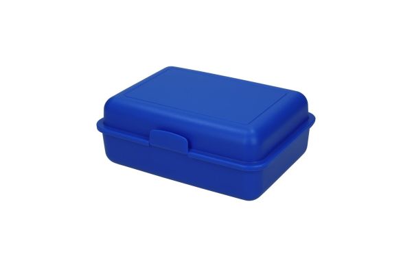 Vorratsdose "School-Box" groß, mit Trennschale, blau