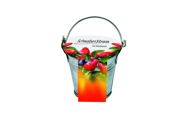 Zinkeimerchen Chili, Chili 