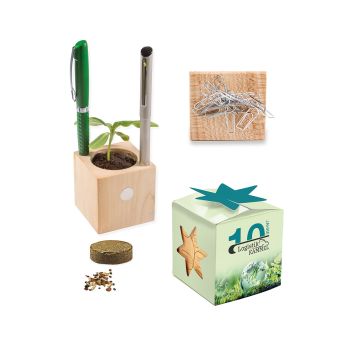 Pflanz-Holz Büro Star-Box mit Samen