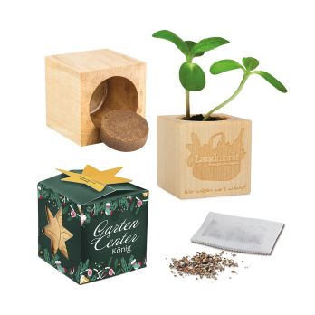 Pflanz-Holz Maxi Star-Box mit Samen, 2 Seiten gelasert