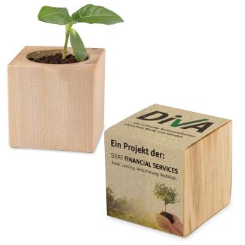 Pflanz-Holz mit Samen (Graspapier-Banderole)