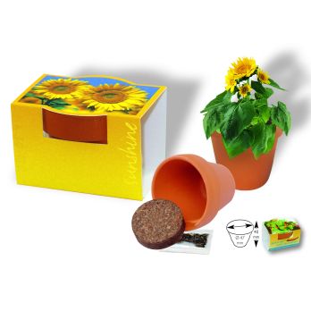 Tontöpfchen Sonne